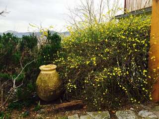 Апартаменты Apartmani Perić Бар Апартаменты с видом на море-23