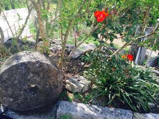 Апартаменты Apartmani Perić Бар Апартаменты с видом на море-34