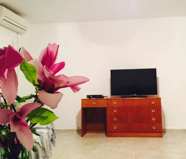 Апартаменты Apartmani Perić Бар-32